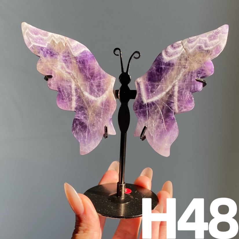 Small Butterfly Wings