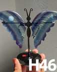 Small Butterfly Wings