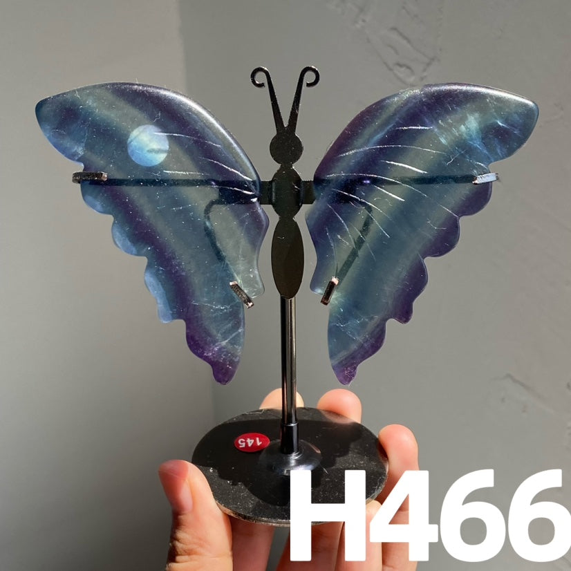 Small Butterfly Wings