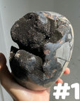 Septarian Egg & Freeform