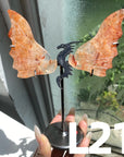 Dragon Wings