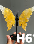 Small Butterfly Wings