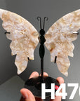 Small Butterfly Wings