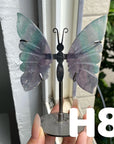 Small Butterfly Wings