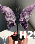 Small Butterfly Wings