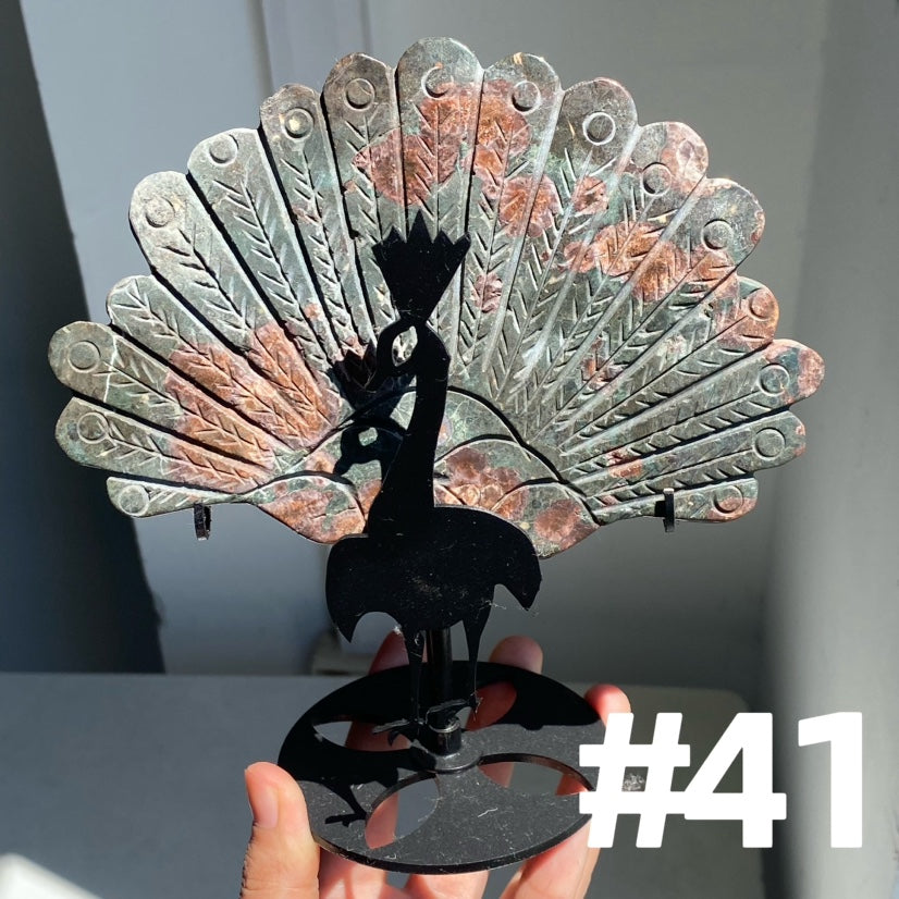 Clearance Peacock Wings