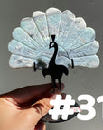 Clearance Peacock Wings