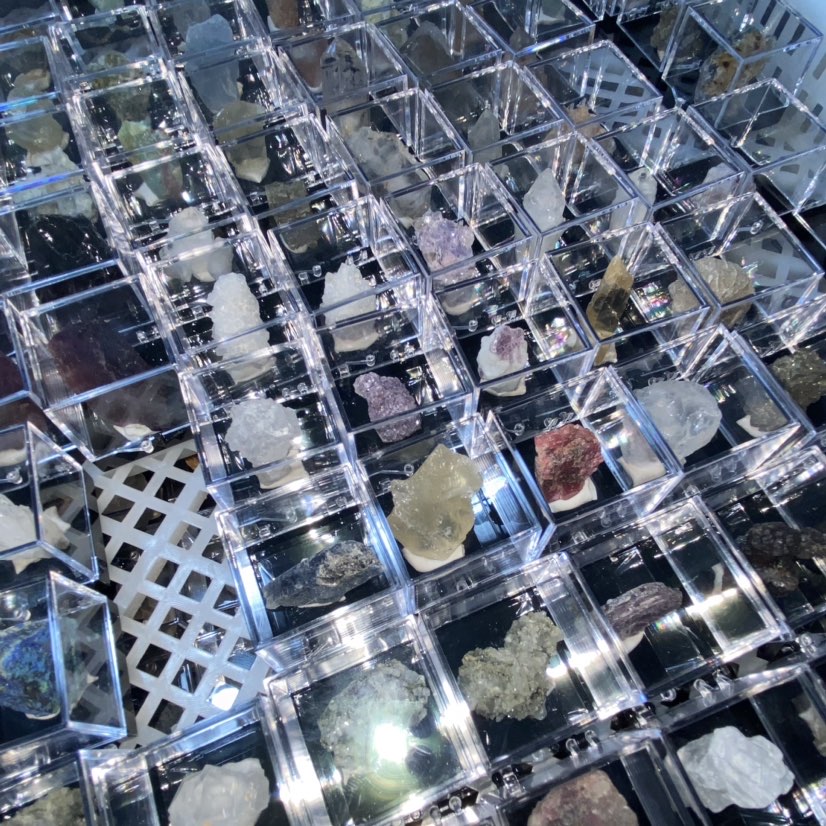 Specimen Display Box