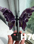 Small Butterfly Wings