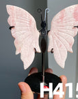 Small Butterfly Wings