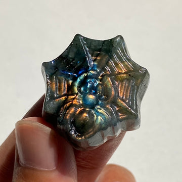 Labradorite Mini Spider