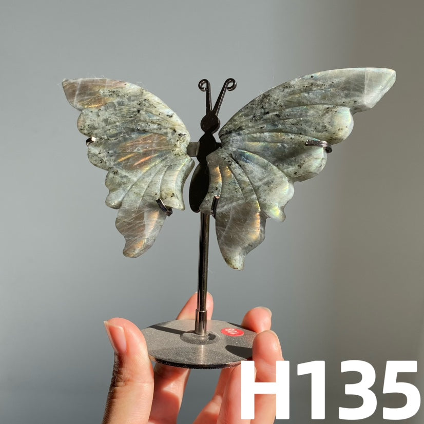 Small Butterfly Wings