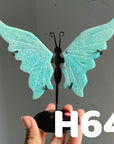Small Butterfly Wings