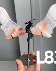 Dragon Wings