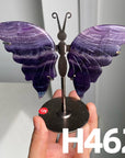 Small Butterfly Wings