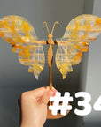 Golden Healer Butterflly (imperfect)