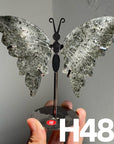 Small Butterfly Wings