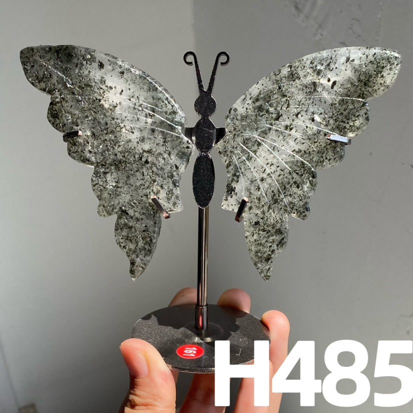 Small Butterfly Wings