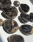 Septarian Egg