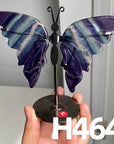 Small Butterfly Wings