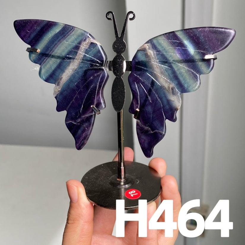Small Butterfly Wings