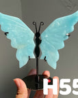 Small Butterfly Wings
