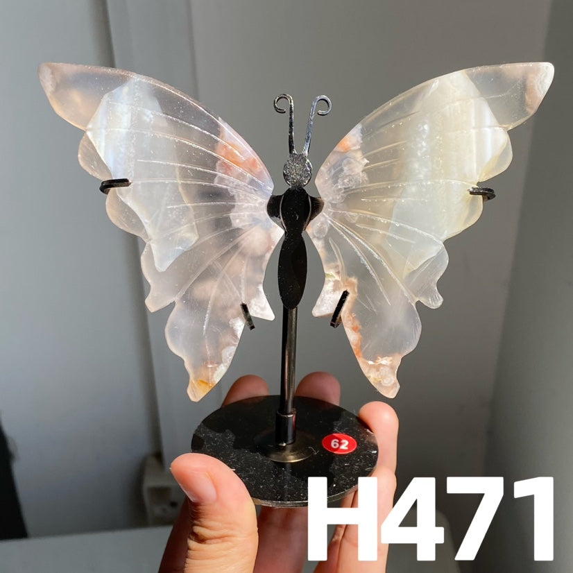 Small Butterfly Wings