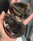 Septarian Egg