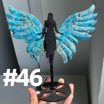 Big Angel Wings