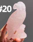 Rose Quartz Parrot