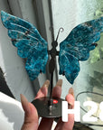 Small Butterfly Wings