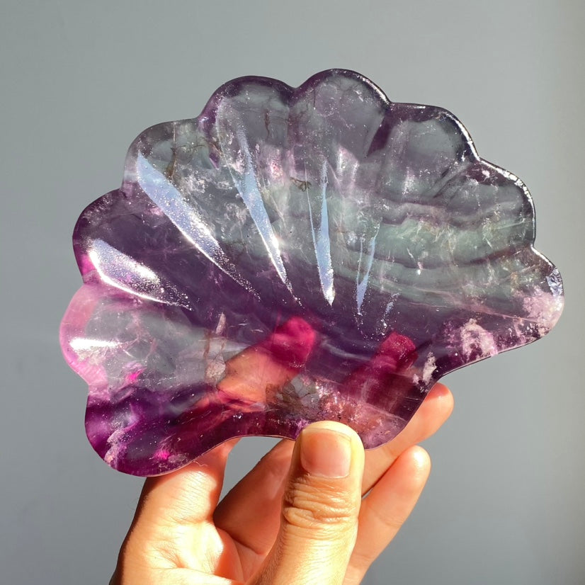 Fluorite Shell Tray