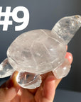 Crystal Turtle