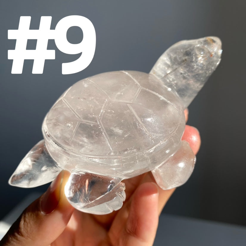 Crystal Turtle