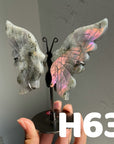 Small Butterfly Wings