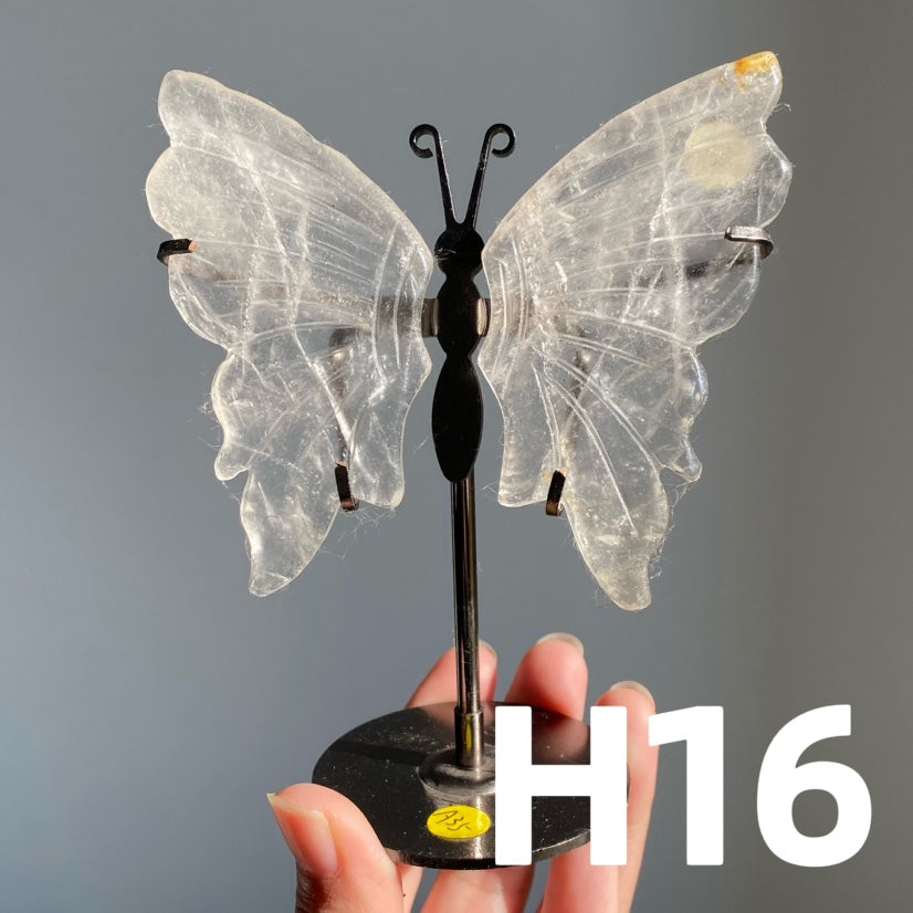 Small Butterfly Wings