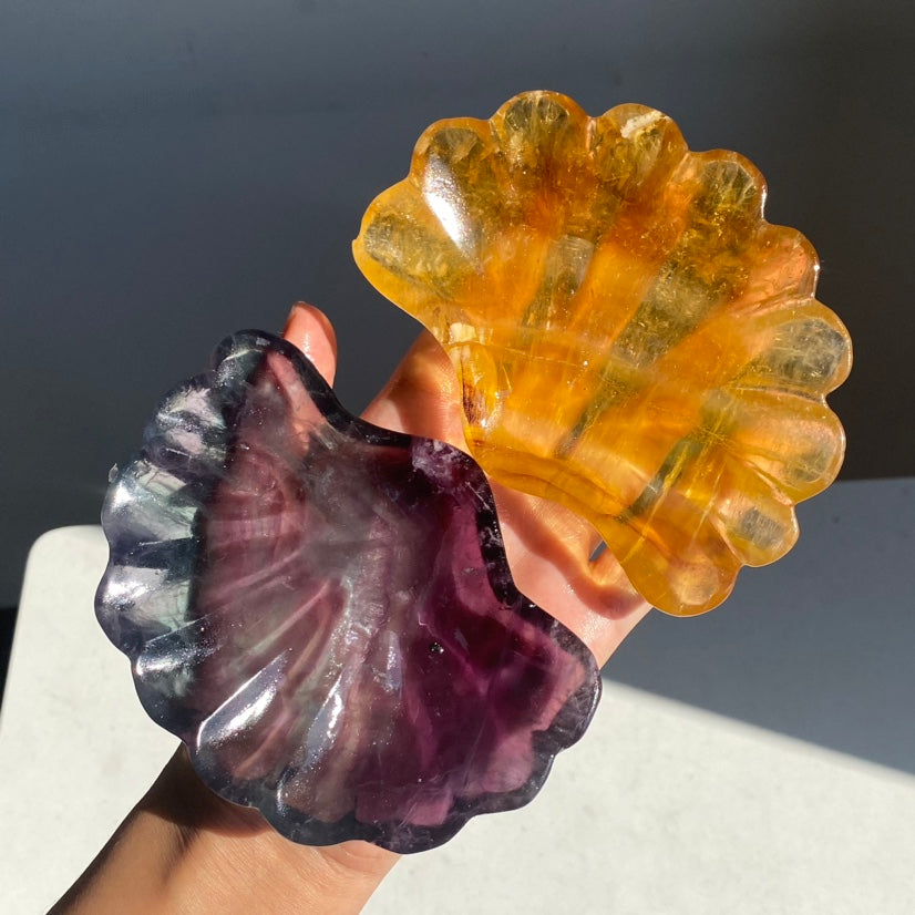 Fluorite Shell Tray