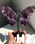 Small Butterfly Wings
