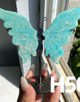Small Butterfly Wings