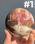 Petrified Wood Sphere