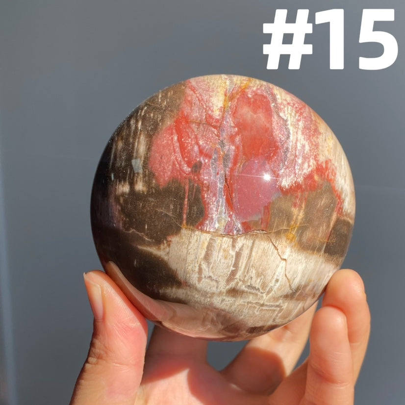 Petrified Wood Sphere