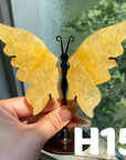Small Butterfly Wings