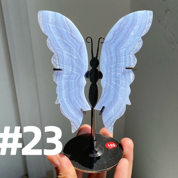 Blue Lace Agate Butterfly