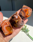 Sardonyx Agate Freeform