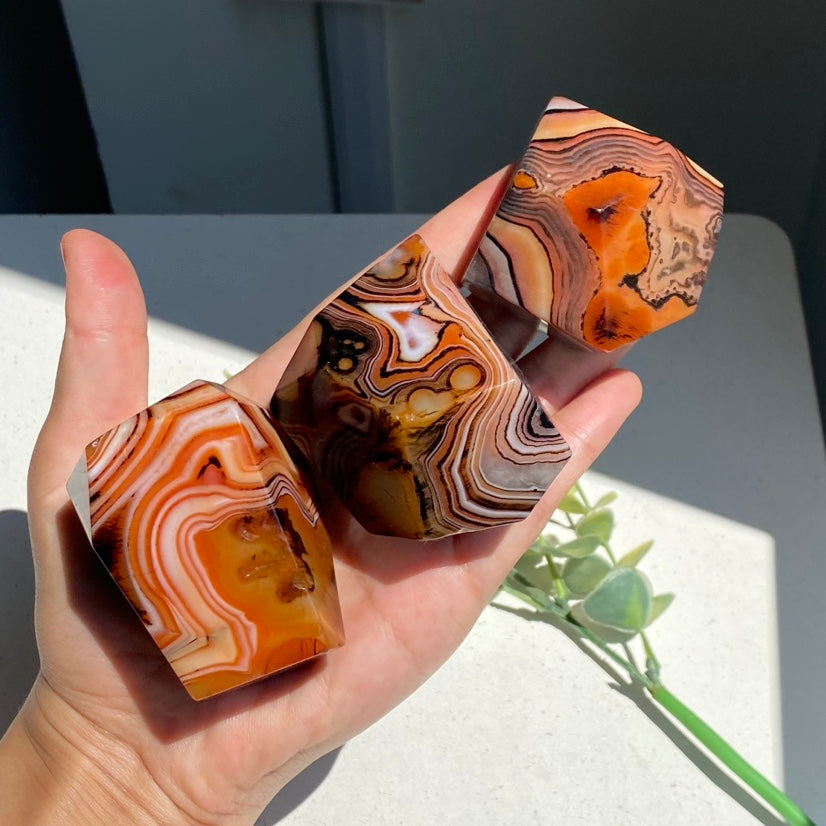 Sardonyx Agate Freeform
