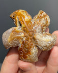 Crystal Starfish