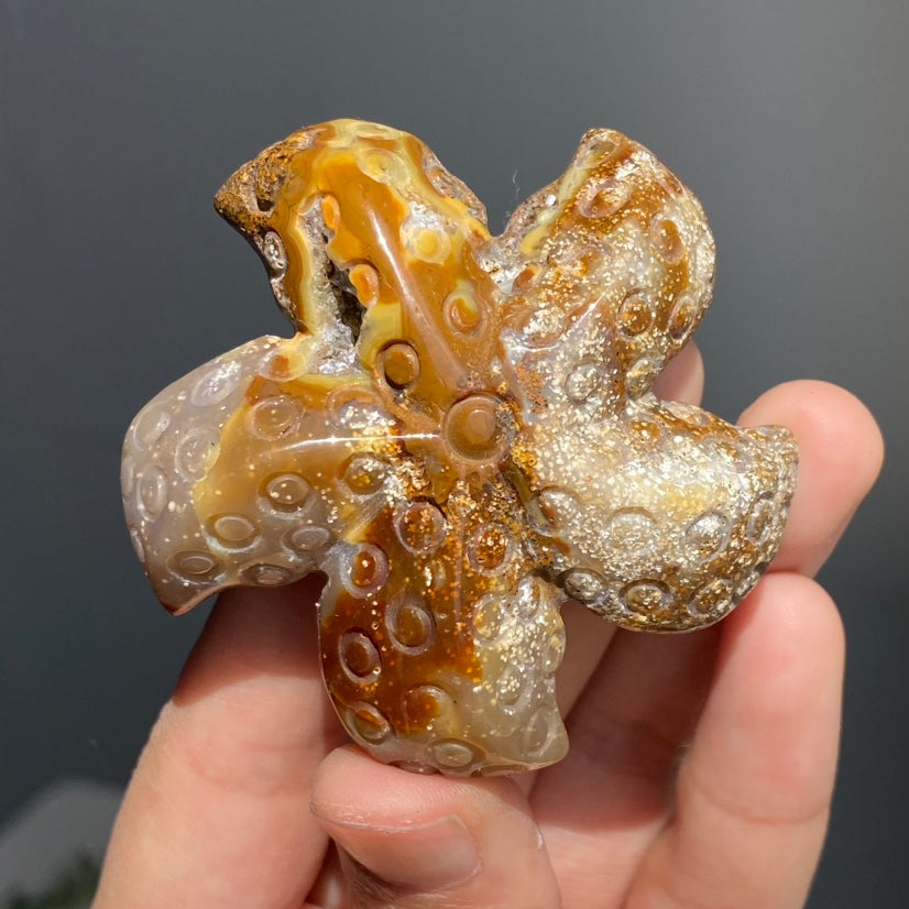Crystal Starfish