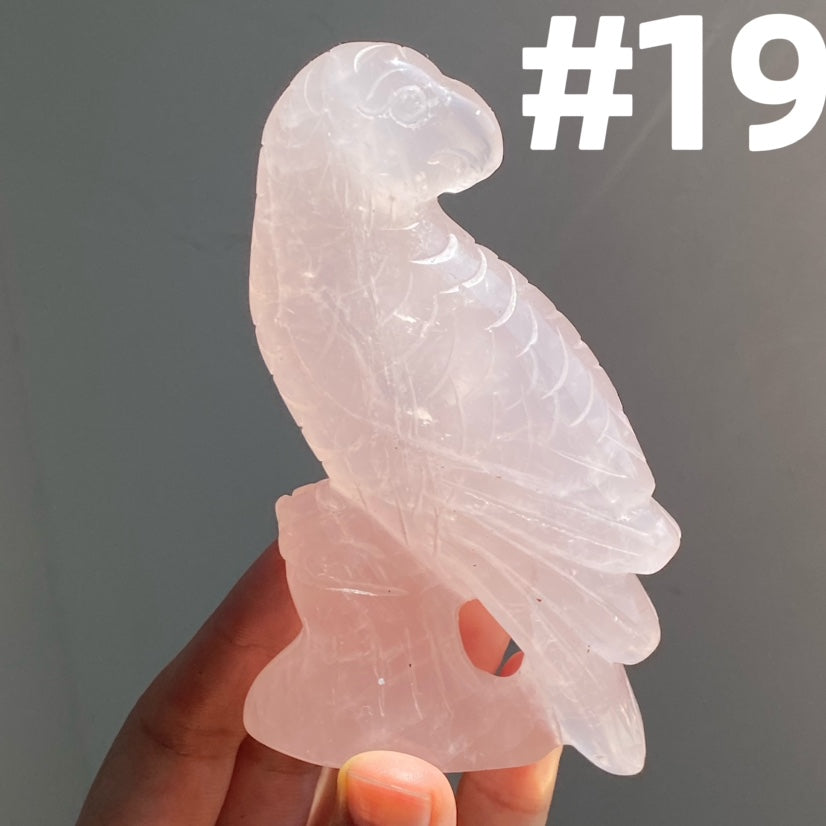 Rose Quartz Parrot