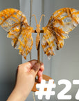 Golden Healer Butterflly (imperfect)