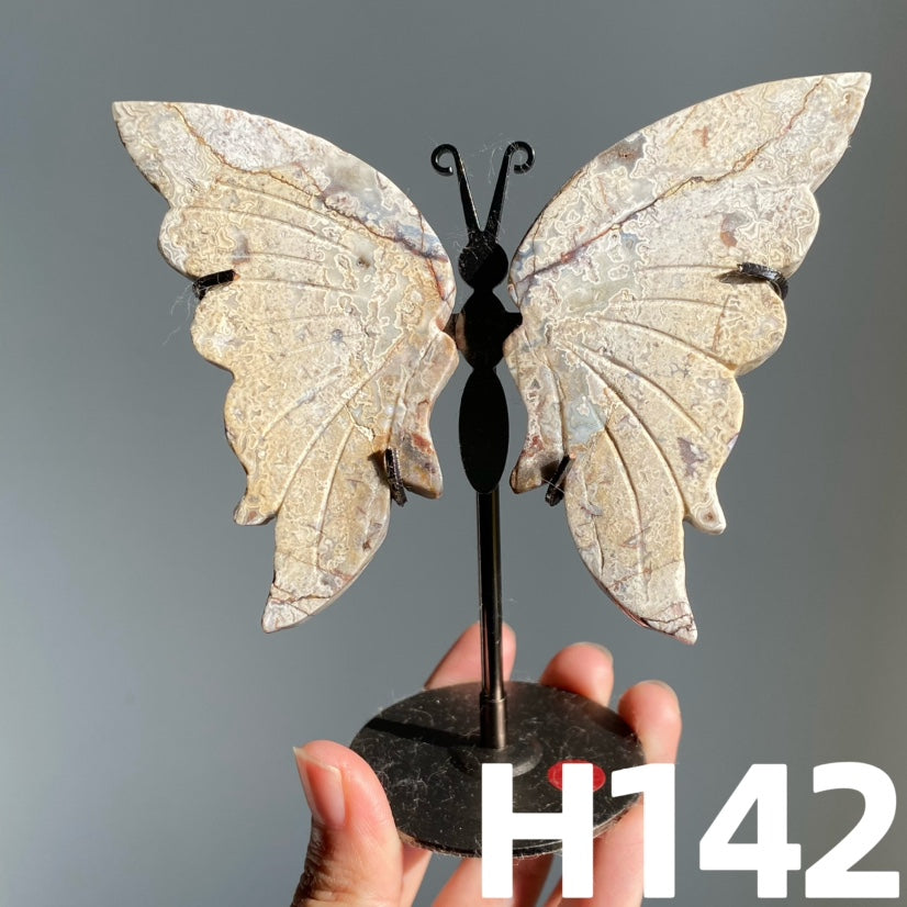 Small Butterfly Wings